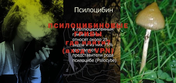 мяу мяу мука Балабаново