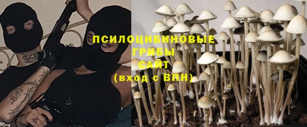 мяу мяу мука Балабаново