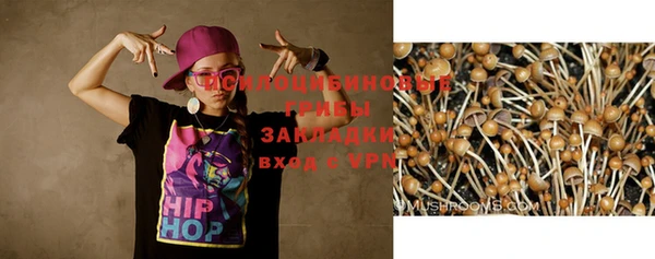 СК Баксан